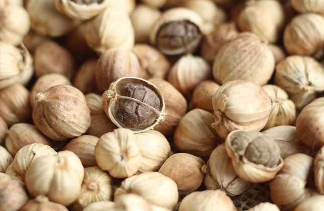 cardamom1