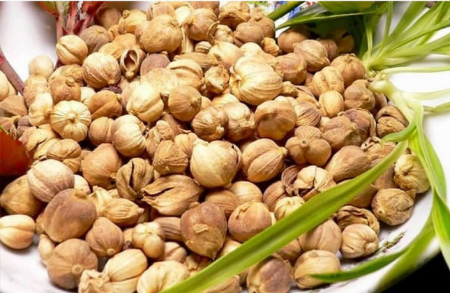 cardamom2