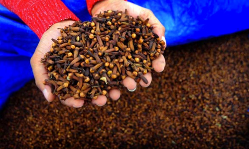 clove4