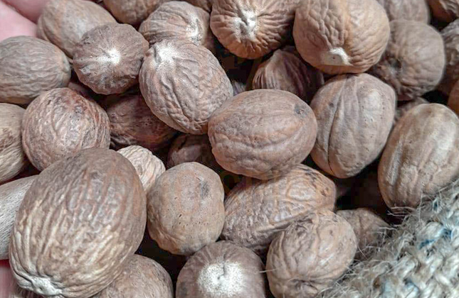 nutmeg1