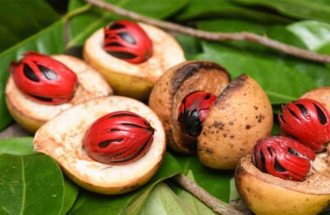 nutmeg2