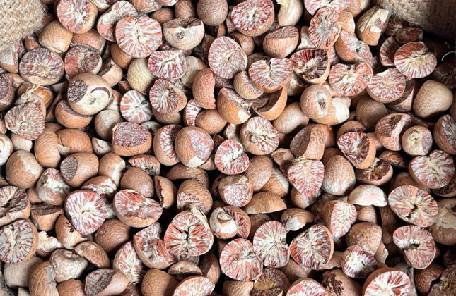 betelnut5