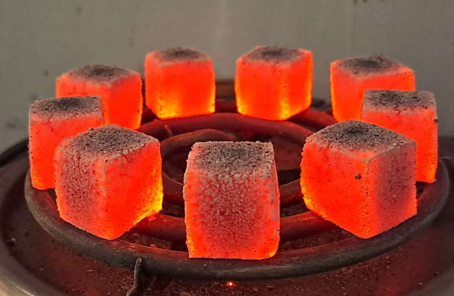 coconut briquette 1