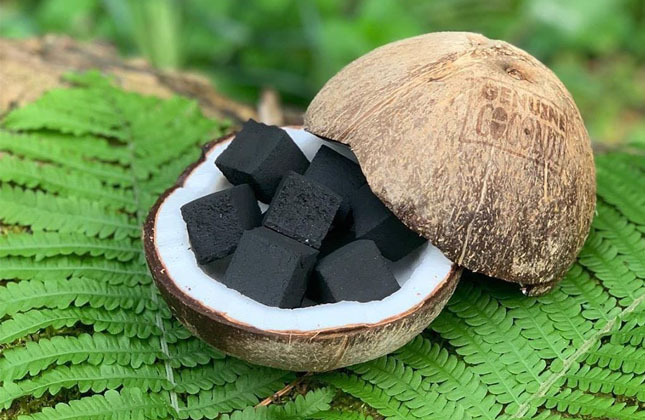 coconut briquette 2