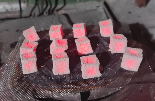 coconut briquette 9