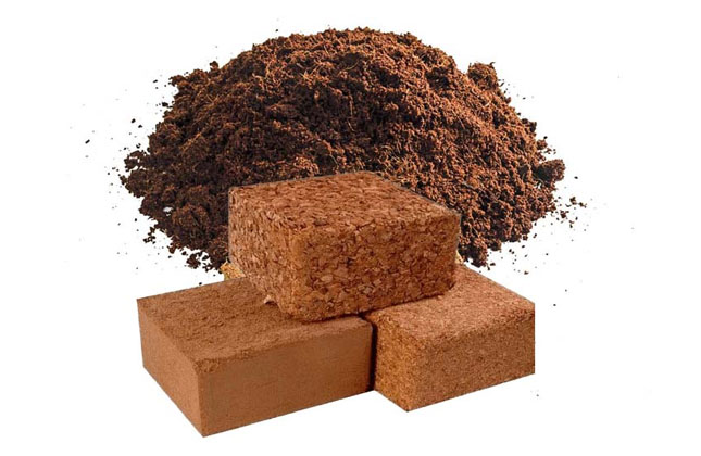 cocopeat 1