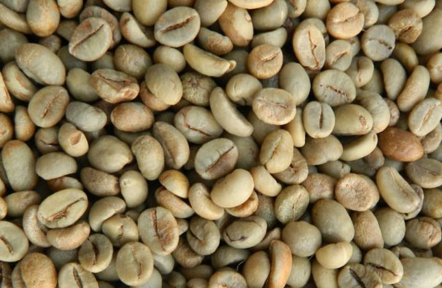java robusta 1
