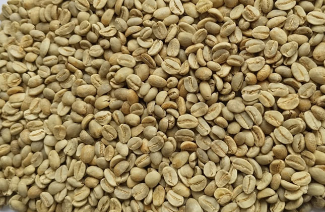 sumatra arabica 1